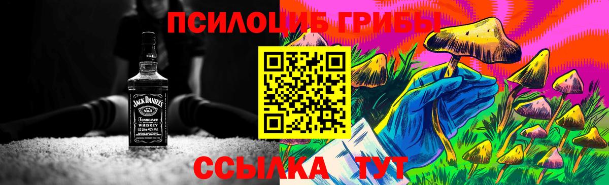 Череповец  Галлюциногенные грибы GOLDEN TEACHER  Вход с VPN 